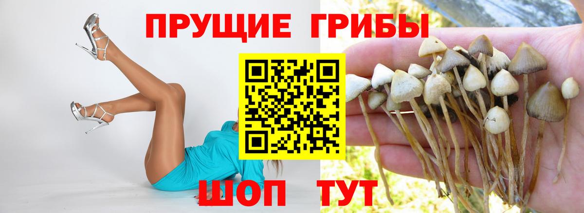 Псилоцибиновые грибы Magic Shrooms Мирный