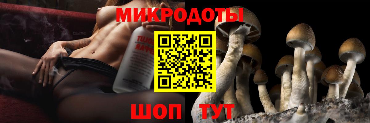 Галлюциногенные грибы MAGIC MUSHROOMS  Вход с VPN  Мирный 