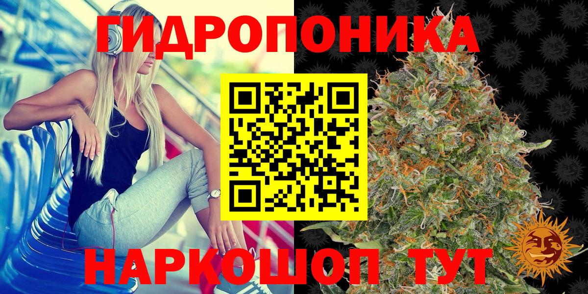 Каннабис сатива Мирный